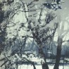 Papier peint Brume de Jean Paul Gaultier coloris Encre 3307-03