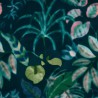Hibiscus wallpaper - Nobilis