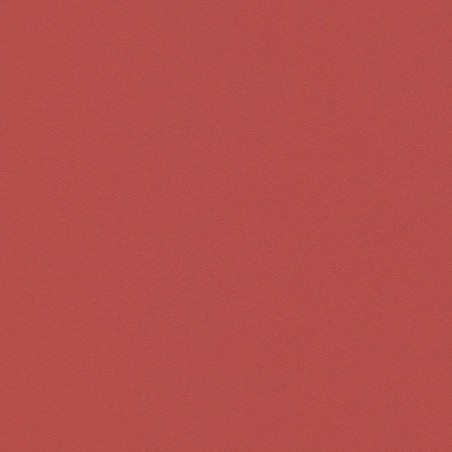 Sample for Esprit Dream Vynil coat - Griffine