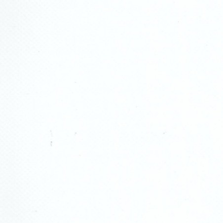 Bâche PVC pour toile à taud et autres usages TAIGA largeur 250 cm
