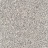 Tissu Fabthirty - Rubelli coloris argento 30319-8