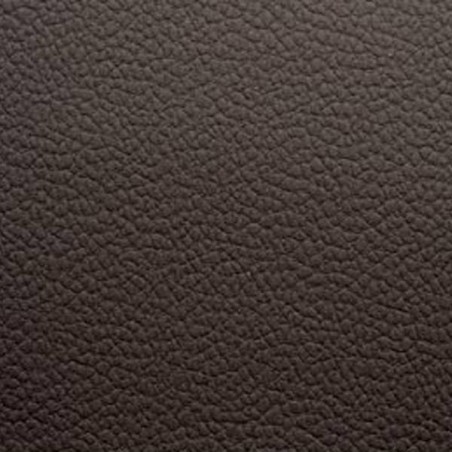 Sample of Universal vynil coat for Renault cars and vans