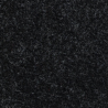 Coupe 100 x 166 cm de moquette feutre coffre de voiture coloris noir