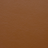 Tan 801