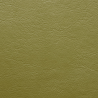 Lime 226