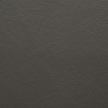 Graphite 954