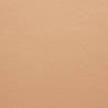 Pale pink 613