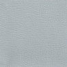 Sample of Simili Cuir First