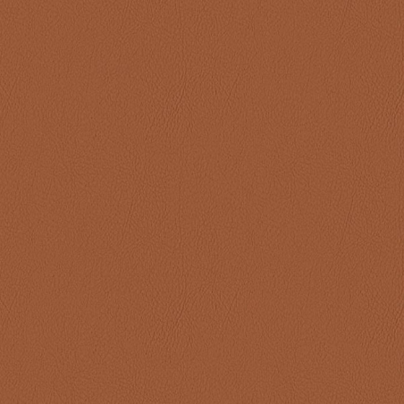 Sample for vinyl to Peugeot 304