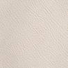 Toile à capote vinyle Everflex (CG) - Ecru