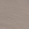 Toile à capote vinyle Everflex (CG) - Mastic