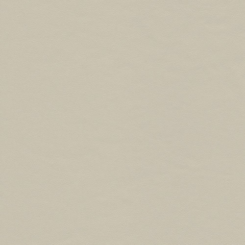 Simili Cuir touché doux City - Beige