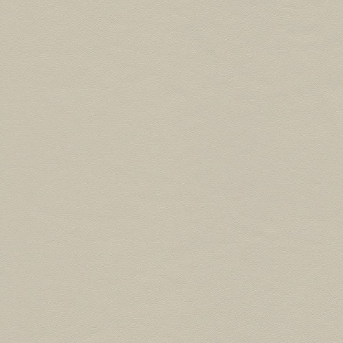 Soft touch coated fabric City - Beige