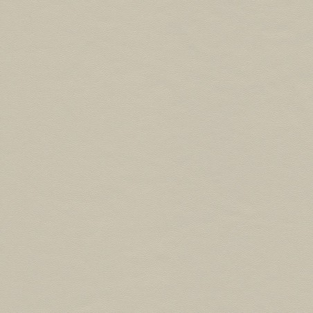 Echantillon Simili Cuir touché doux City