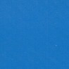 Bâche PVC mate pour hivernage largeur 150 cm - Bleu