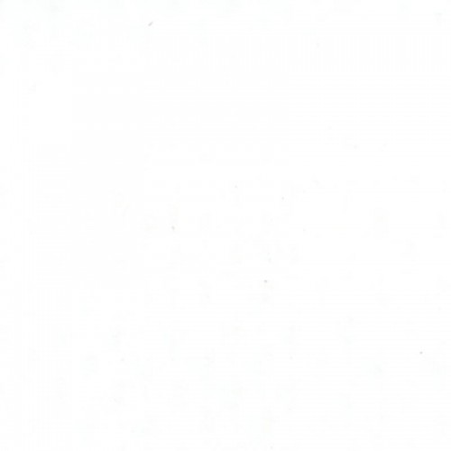 Bâche PVC mate pour hivernage largeur 150 cm - Blanc