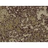 Tissu jacquard Astral - Lelièvre - Aurore