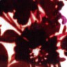 Tissu Giardino - Rubelli coloris 30016/002 rubino (rubis)