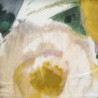 Tissu Pardes - Rubelli coloris 30065/003 estate (jaune)