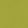 Leatherette Skai ® Sotega color vert F50741017
