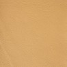 Cuir Authentic club