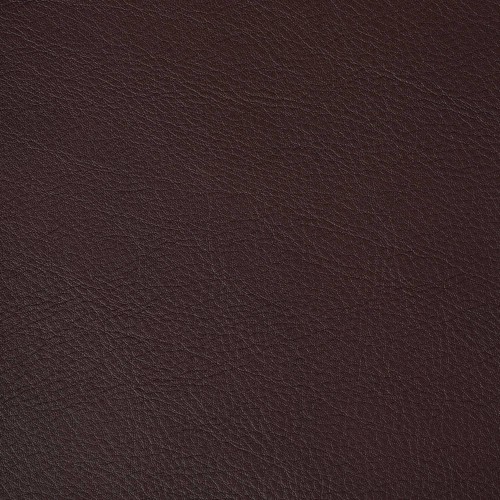 Cuir Authentic club