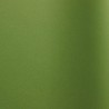  Full grain leather Lena celery colors