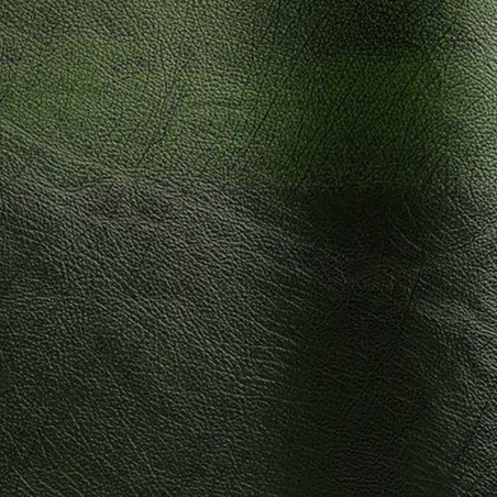 Bovine leather pigmented Rub-off vert color