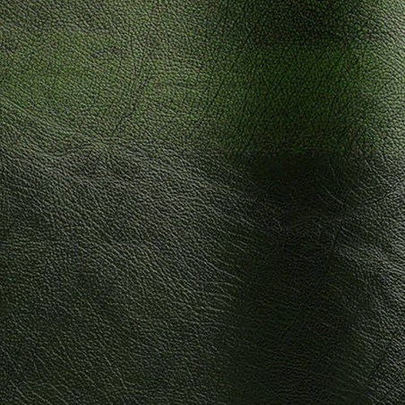 Peau de cuir de bovin pigmenté Rub-off coloris vert
