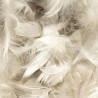 Duvet de canard blanc de Barbarie 90 % duvet et 10 % plumettes