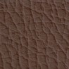 BMW car leather with or without perforation praline color
