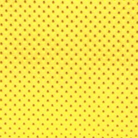 Echantillon Simili cuir Moto Ducati