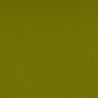 Simili Cuir Chronos de Spradling coloris Pistachio_CRO-0014
