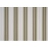 Canvas awning Orchestra Stripes Dickson - Rome green D314
