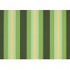 Canvas awning Orchestra Stripes Dickson - Capri 8615