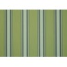 Canvas awning Orchestra Stripes Dickson - Chicago green D310