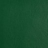 Simili cuir d'ameublement Iggy de Houlès coloris Vert sapin 72705-9701