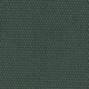 Tissu dralon d'extérieur Acrisol Turqueta de Tuvatextil coloris Vert clair C-05