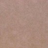 Tissu Alcantara ® - TAUPE 258/67