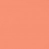 Canvas awning Orchestra - 6689 peche