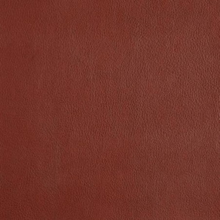 Sample for Iman vynil coat - Houles