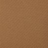 Satinette Nicotrel largeur 160 cm de Houlès coloris Caramel 11024-9182
