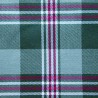 Tissu VLEUGELDEUR pour Mercedes 300 SL W198 coloris Vert clair