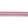 Galon 20 mm Laguna collection GALONS BRAIDS & TAPES de Houlès coloris Rose 32112-9410