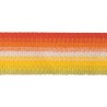 Galon 40 mm collection Riviera les Ombres de Houlès coloris Multicolore 32182-9300
