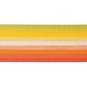 Galon 80 mm collection Riviera les Ombres de Houlès coloris Multicolore 32183-9300