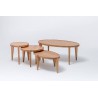 BONTRI ELLIPSE coffee table - Swallow's Tail Furniture