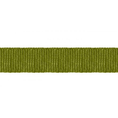 Galon gros grain 12 mm collection Double Corde & Galons de Houlès coloris Absinthe 31154-9713