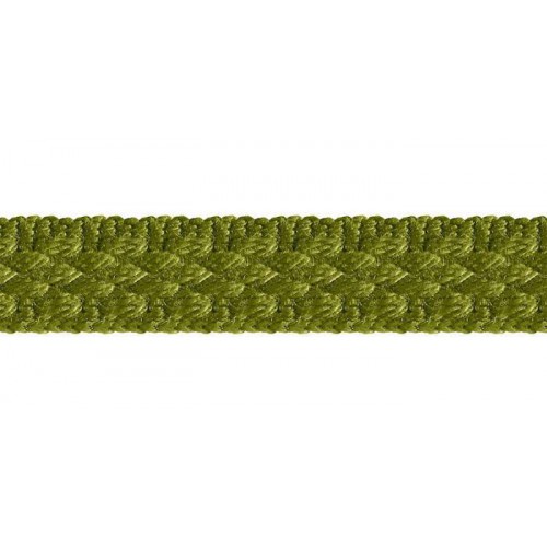 Galon armuré 10 mm collection Double Corde & Galons de Houlès coloris Absinthe 31155-9713