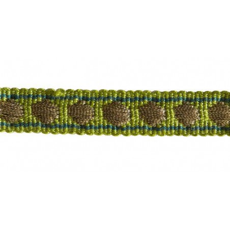 Galon clou métal 12 mm collection Double Corde & Galons de Houlès coloris Anis 31156-9700